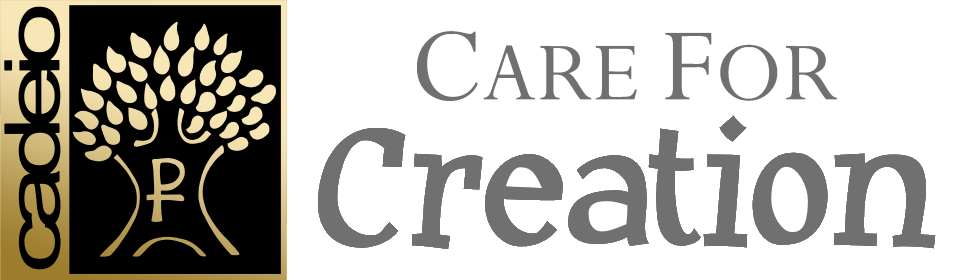 Care For Creation